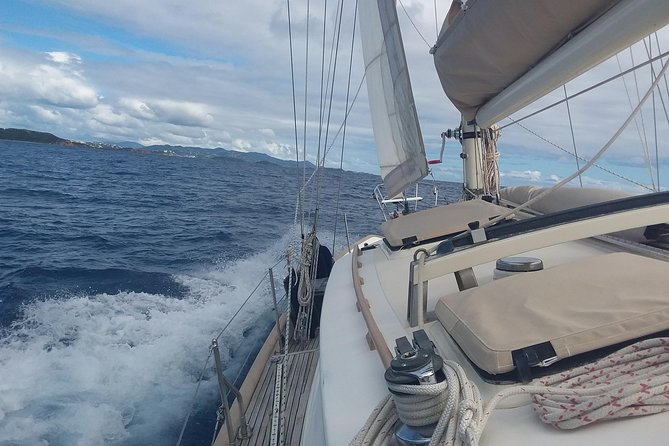 Sail/Snorkel Adventure from Sapphire Marina,STT NO CROWDS~ 6 GUEST MAX - What makes the sea life special