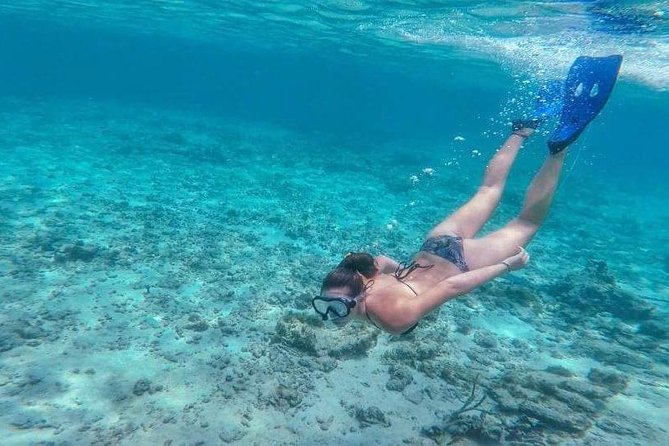 Sail/Snorkel Adventure from Sapphire Marina,STT NO CROWDS~ 6 GUEST MAX - Drinks, snacks, and time aboard