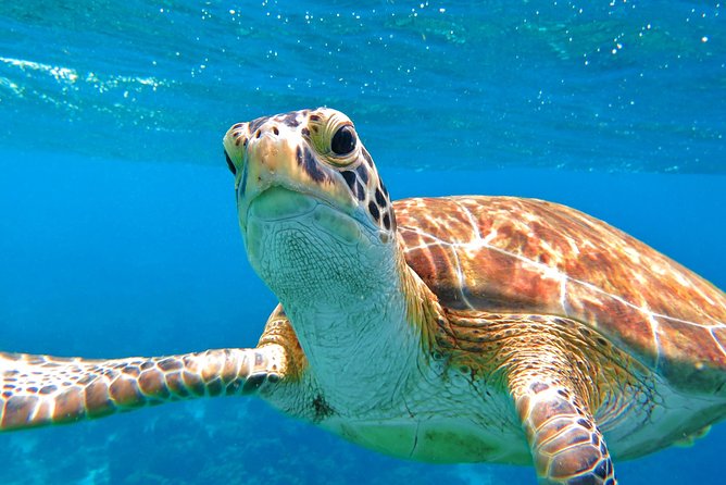 Sail/Snorkel Adventure from Sapphire Marina,STT NO CROWDS~ 6 GUEST MAX - Price, cancellation, and practical planning