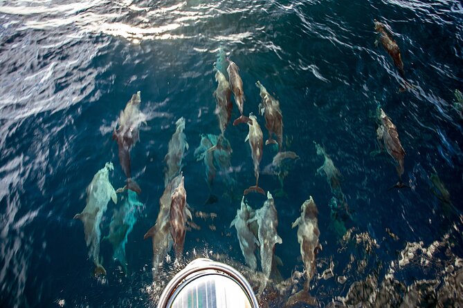 Sailing and Snorkeling to Norman Island and Caves - The Caves: Norman Island’s main snorkeling stop