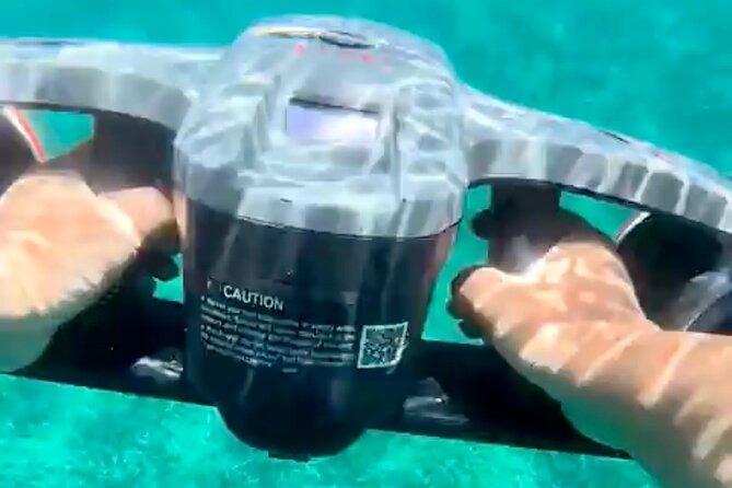 Sea Scooter Snorkeling Adventure in Tortola! - Why the private format matters for families
