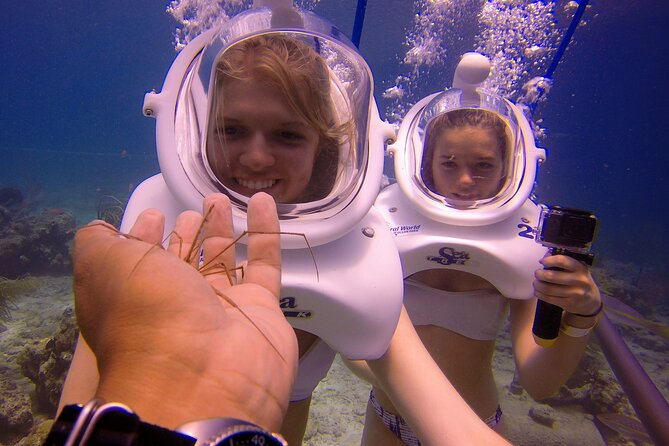 Sea Trek Helmet Dive at Coral World Ocean Park - What you can do at Coral World before and after