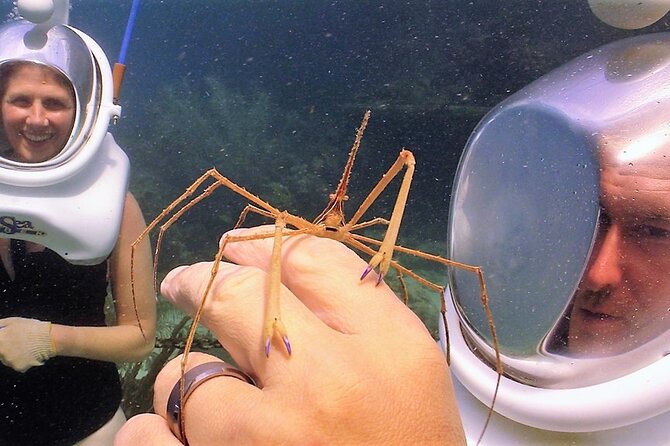 Sea Trek Helmet Dive at Coral World Ocean Park - Health rules are strict for good reason