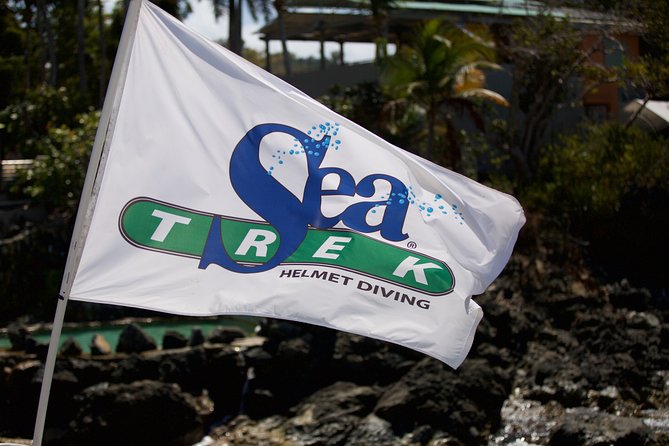 Sea Trek Helmet Dive at Coral World Ocean Park - Who will enjoy Sea Trek most?