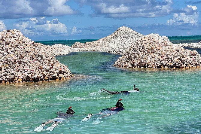 "Seas the Day!" Hop to iconic BVI islands and amazing snorkeling. - Who will enjoy this charter most?