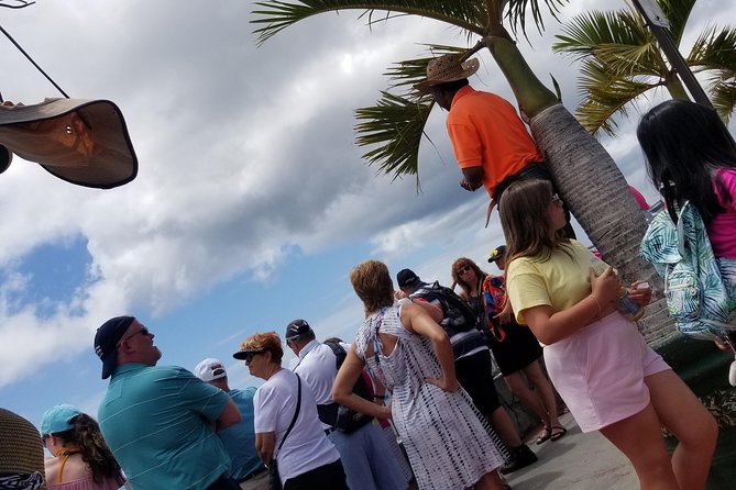 Shopping And Sightseeing Excursion - What the van ride adds to the day