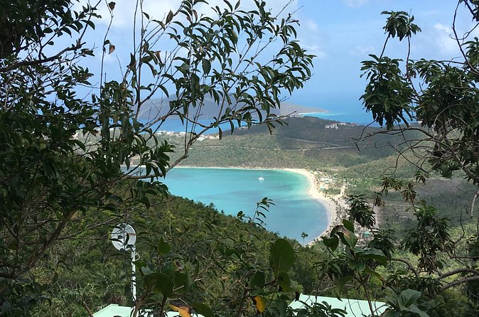 Sightseeing and Swimming Excursion - Who will enjoy this tour most?