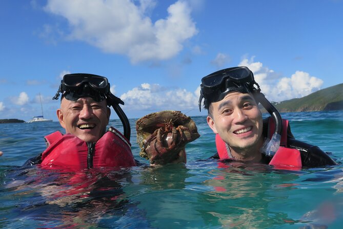 Small Group Sea Turtle Tour (Guaranteed to see turtles) - A two-hour beach snorkel in St. Thomas