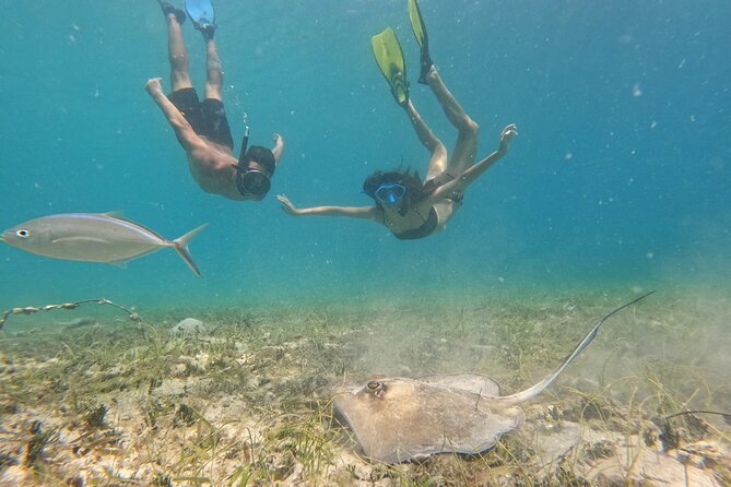 Snorkel St. John Tour from Sapphire and Margaritaville - Three Snorkel Stops Around St. John