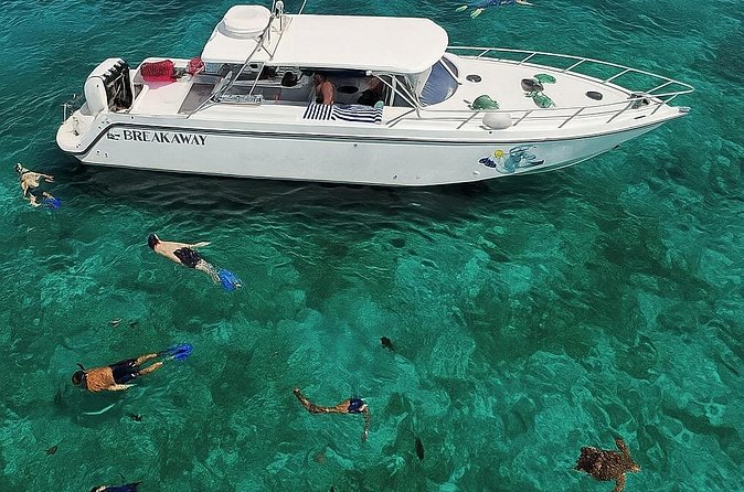 Snorkel St. John Tour from Sapphire and Margaritaville - Lunch, Drinks, and the Pace Between Stops