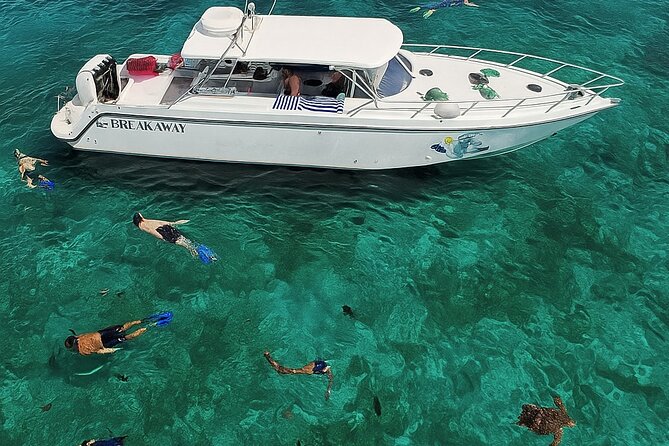 Snorkel St. John Tour from Sapphire and Margaritaville - Crowds, Weather, and Other Tradeoffs