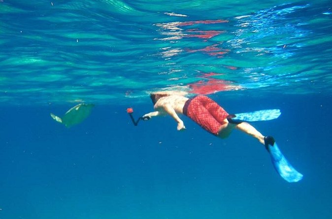 Snorkel Tour - Setting out from Secret Harbour at 8:30 a.m.