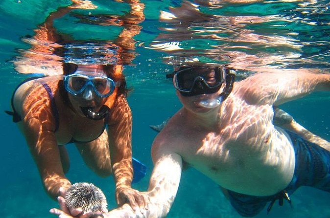 Snorkel Tour - Getting comfortable with the equipment