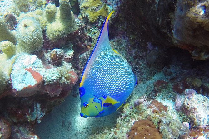 Snorkeling Adventure in St Thomas - Cancellation and Weather Details