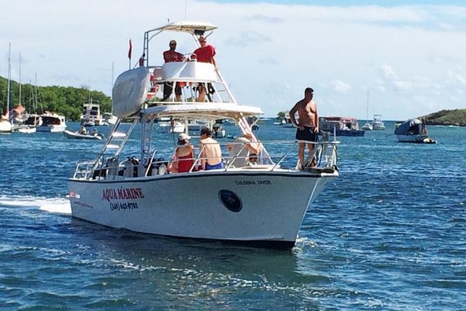 Snorkeling Adventure in St Thomas - A Small Boat That Keeps the Day Personal