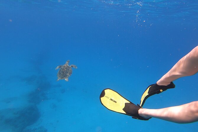 Snorkeling Gear Rental - Why St. Croix is a good place for a rental