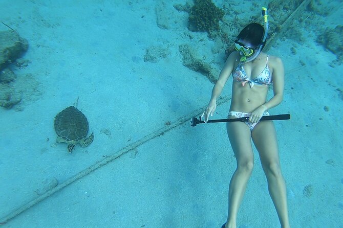 Snorkeling Gear Rental - The value of the price