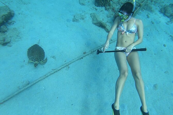 Snorkeling with Sea Turtles - Key points to know before you book
