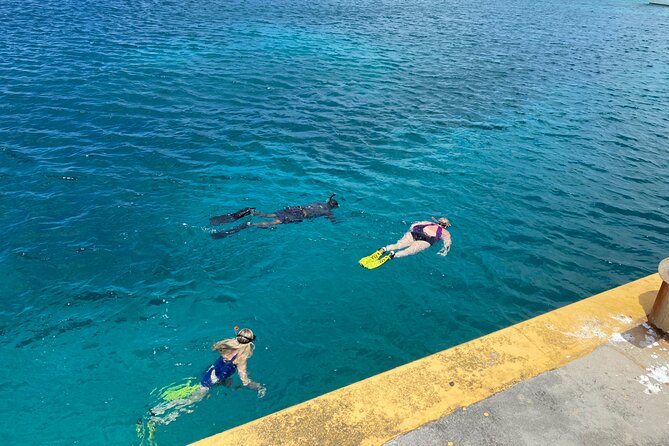 Snorkeling with Sea Turtles - Is $65 a fair price?