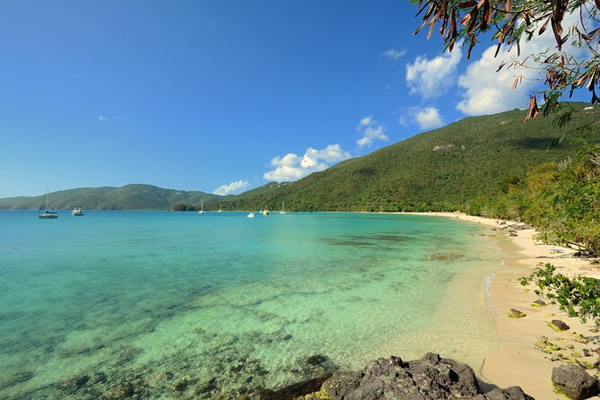 Snorkeling with Sea Turtles at St. Thomas - Who will enjoy this most?