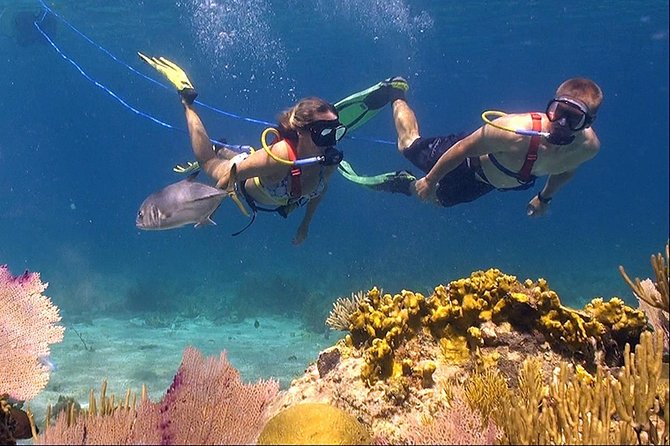 Snuba Adventure at Coral World Ocean Park - Key points to know before booking
