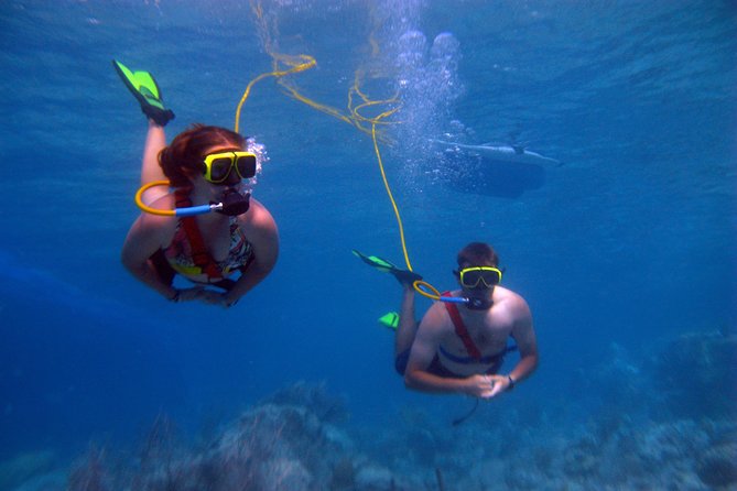 Snuba Adventure at Coral World Ocean Park - How Snuba works at Coral World