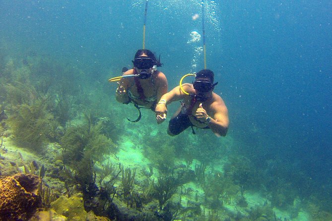 Snuba Adventure at Coral World Ocean Park - What makes the instruction valuable