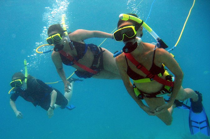 Snuba Adventure at Coral World Ocean Park - Coral World adds real value to the $102 price