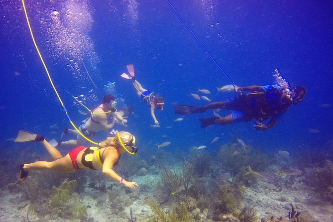 Snuba Adventure at Coral World Ocean Park - Sea conditions matter more than the brochure suggests