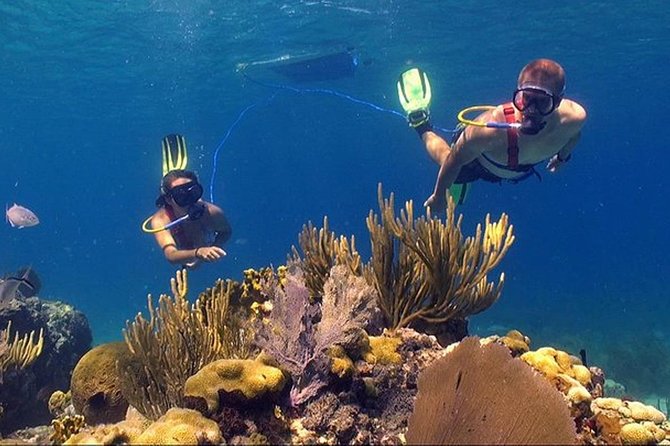 Snuba Adventure at Coral World Ocean Park - The first minutes can feel strange