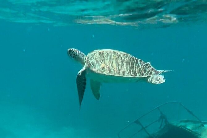 St John -Jeep Ride with A Guide! Customize Itinerary Your Way! - Coral Bay for a different side of the island