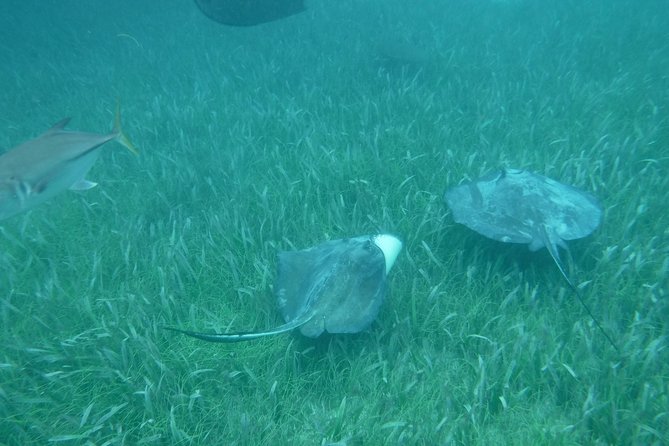 St John & Surrounding Cays - Full-Day Sail/Snorkel, 6 Guests Max - Lunch between the water stops