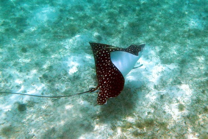 St Thomas Kayak and Sea Turtle Snorkel Excursion - Paddling out from Emerald Beach Resort