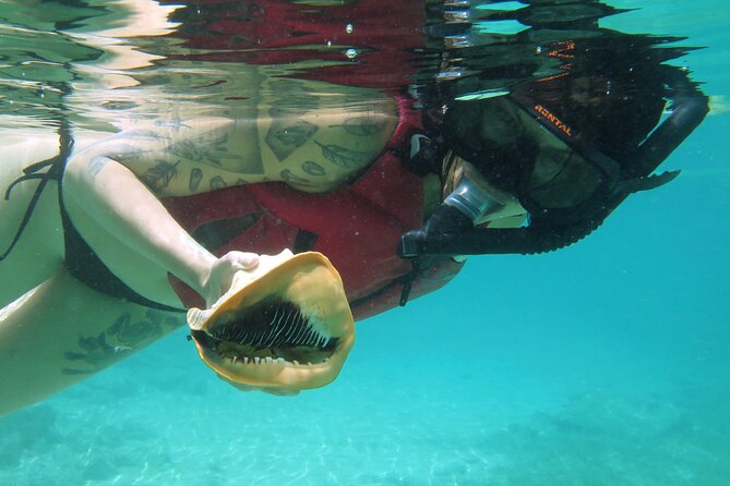 St Thomas Kayak and Sea Turtle Snorkel Excursion - Snorkeling with turtles, rays, and reef life