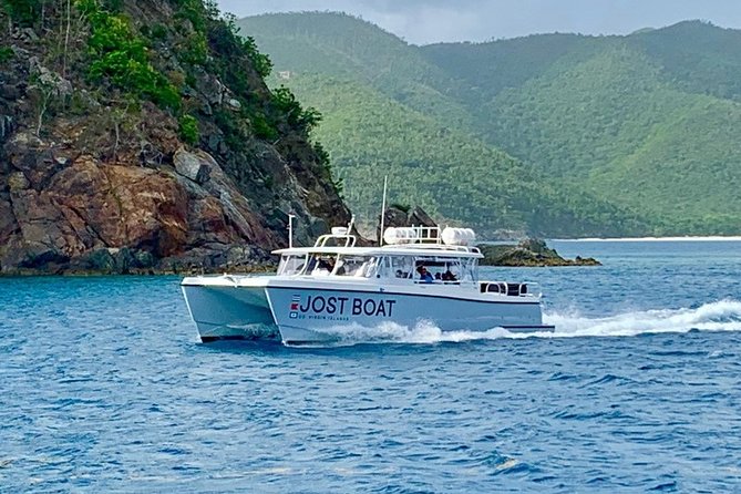 St. Thomas Lime Out Snorkel with Taco Bar Lunch & Swim-Up Bar - Ritz-Carlton - Lime Out: tacos served on the water