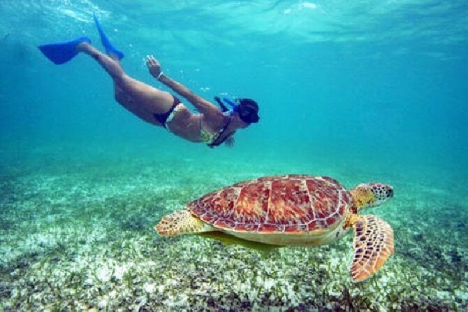 St. Thomas Maho Bay Turtle Snorkel Sail - Ritz-Carlton - The sail toward St. John and Maho Bay