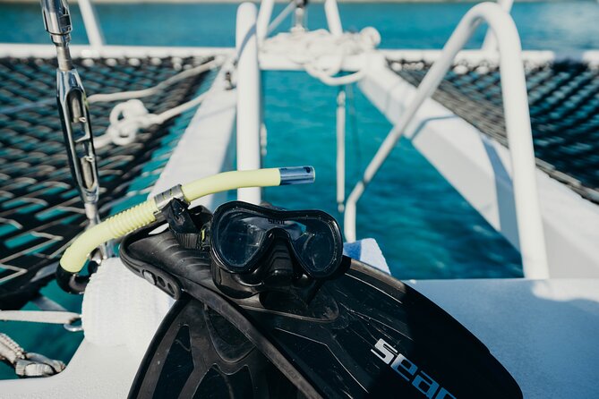 St. Thomas Maho Bay Turtle Snorkel Sail - Ritz-Carlton - Second stop: coral, fish, and a different view