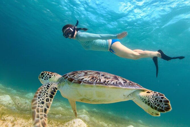 St. Thomas Maho Bay Turtle Snorkel Sail - Ritz-Carlton - First stop: turtle snorkeling in Maho Bay