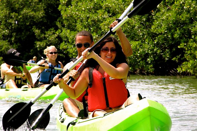 St Thomas Mangrove Lagoon Kayak and Snorkel Tour in the US Virgin Islands - Why the Mangrove Lagoon makes a good St. Thomas outing