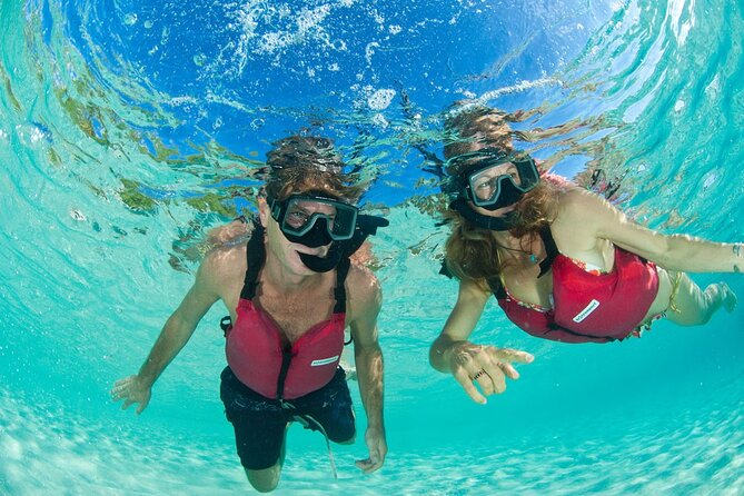 St Thomas Mangrove Lagoon Kayak and Snorkel Tour in the US Virgin Islands - Snorkeling beside mangrove roots