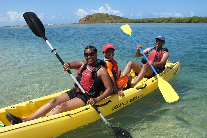 St Thomas Mangrove Lagoon Kayak and Snorkel Tour in the US Virgin Islands - What is included and what to plan for
