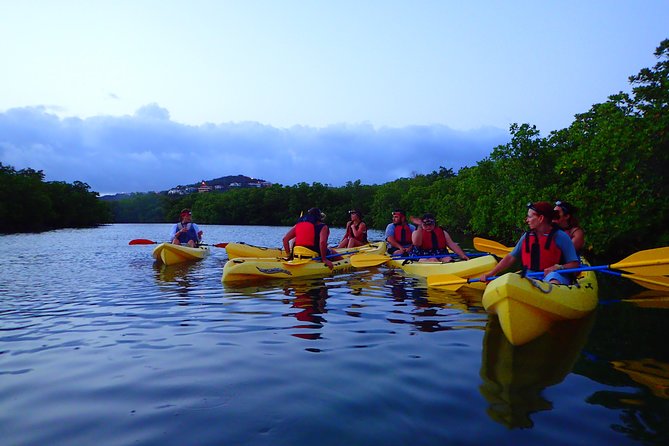 St Thomas Night Kayak Tour - Key Points Before You Paddle