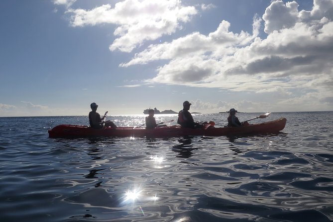 St Thomas Sea Turtle Snorkel Kayak Adventure Tour - Kayaking adds a real workout