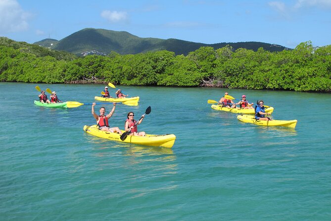 St Thomas Shore Excursion: Mangrove Lagoon Kayak and Snorkel Tour - Key things to know before you book