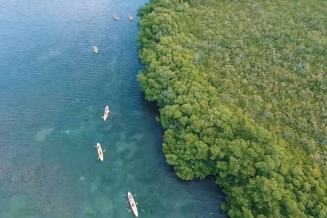 St Thomas Shore Excursion: Mangrove Lagoon Kayak and Snorkel Tour - The optional Cas Cay hike