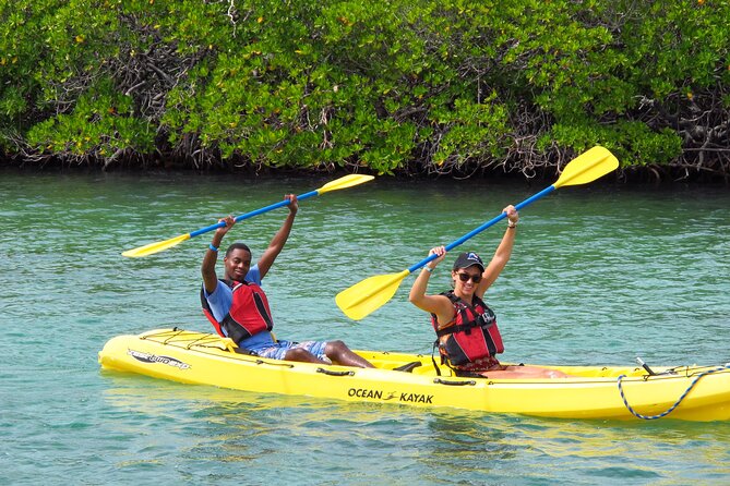 St Thomas Shore Excursion: Mangrove Lagoon Kayak and Snorkel Tour - Pickup from the cruise port and hotels
