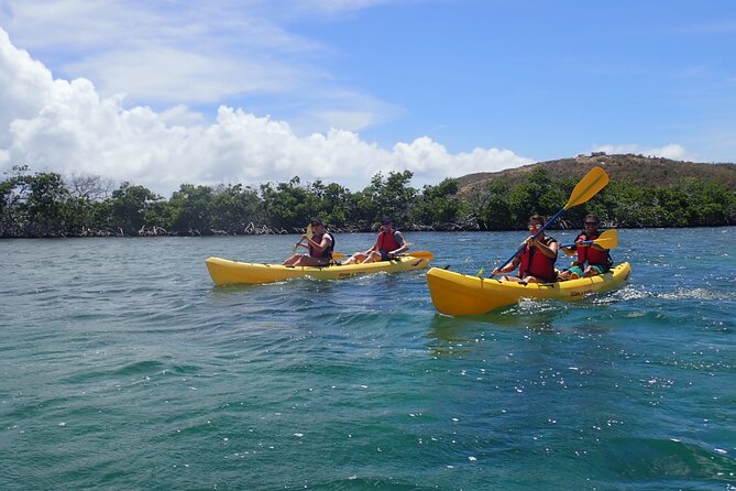 St Thomas Shore Excursion: Mangrove Lagoon Kayak and Snorkel Tour - What the $119 price really covers