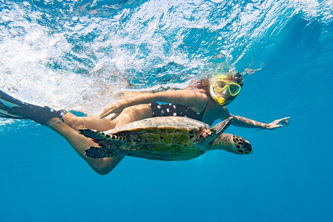 St Thomas Shore Excursion: Mangrove Lagoon Kayak and Snorkel Tour - Who will enjoy this tour most