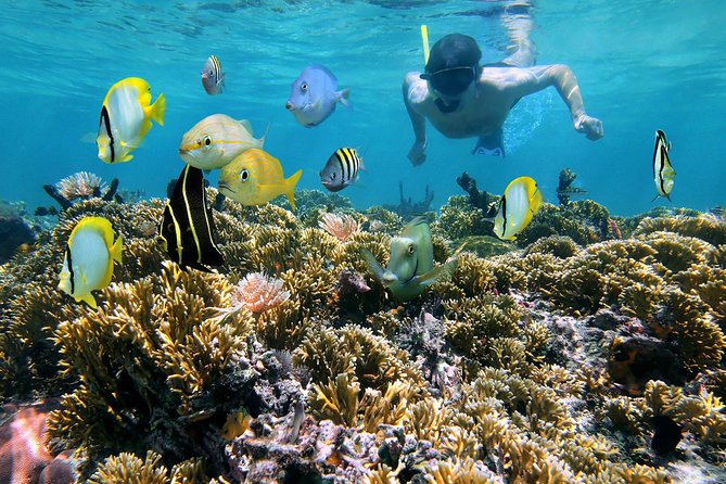 St Thomas~St John Snorkel, Swim & Beach Trip on MV Island Flyer - A Small Boat Ride From Red Hook to St. John
