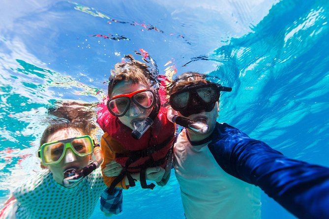 St Thomas~St John Snorkel, Swim & Beach Trip on MV Island Flyer - Who Will Enjoy This Trip Most